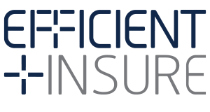 Efficient Insure